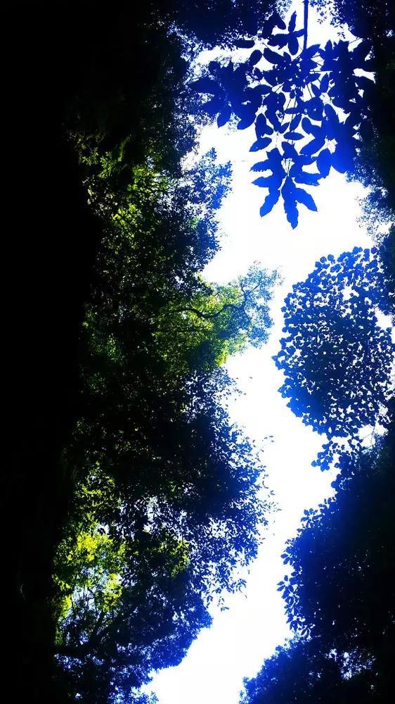 过气英雄